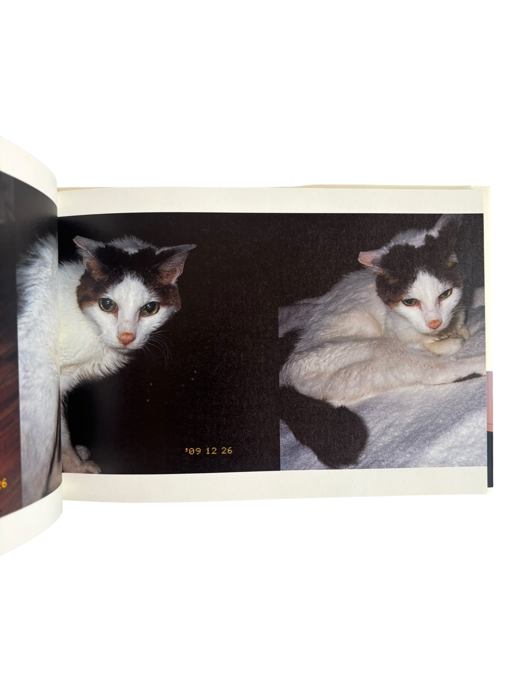 Chiro, Love and Death (2010)