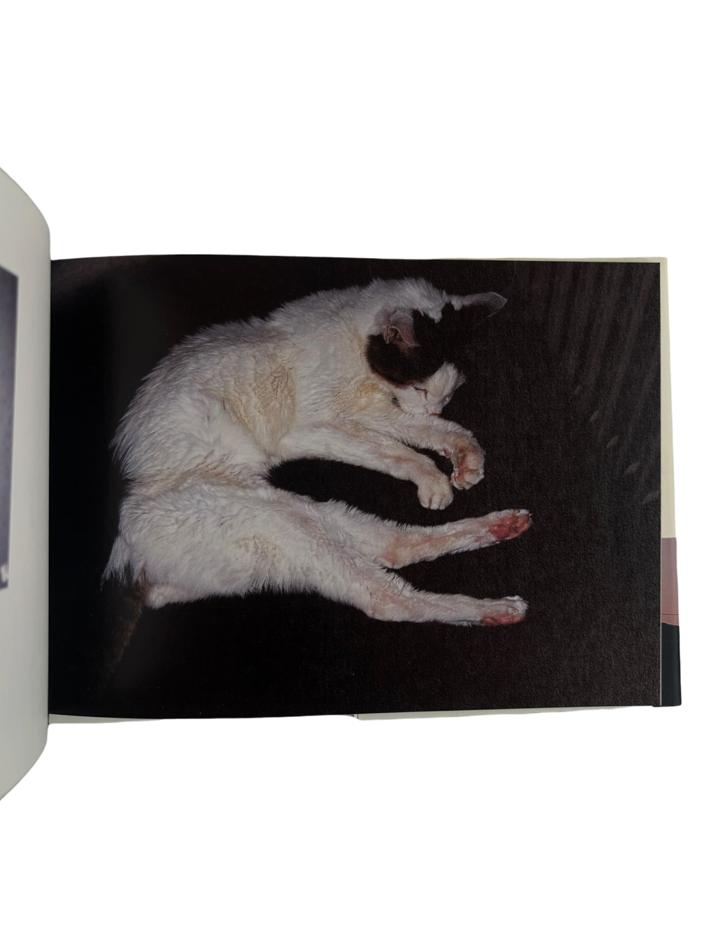Chiro, Love and Death (2010)