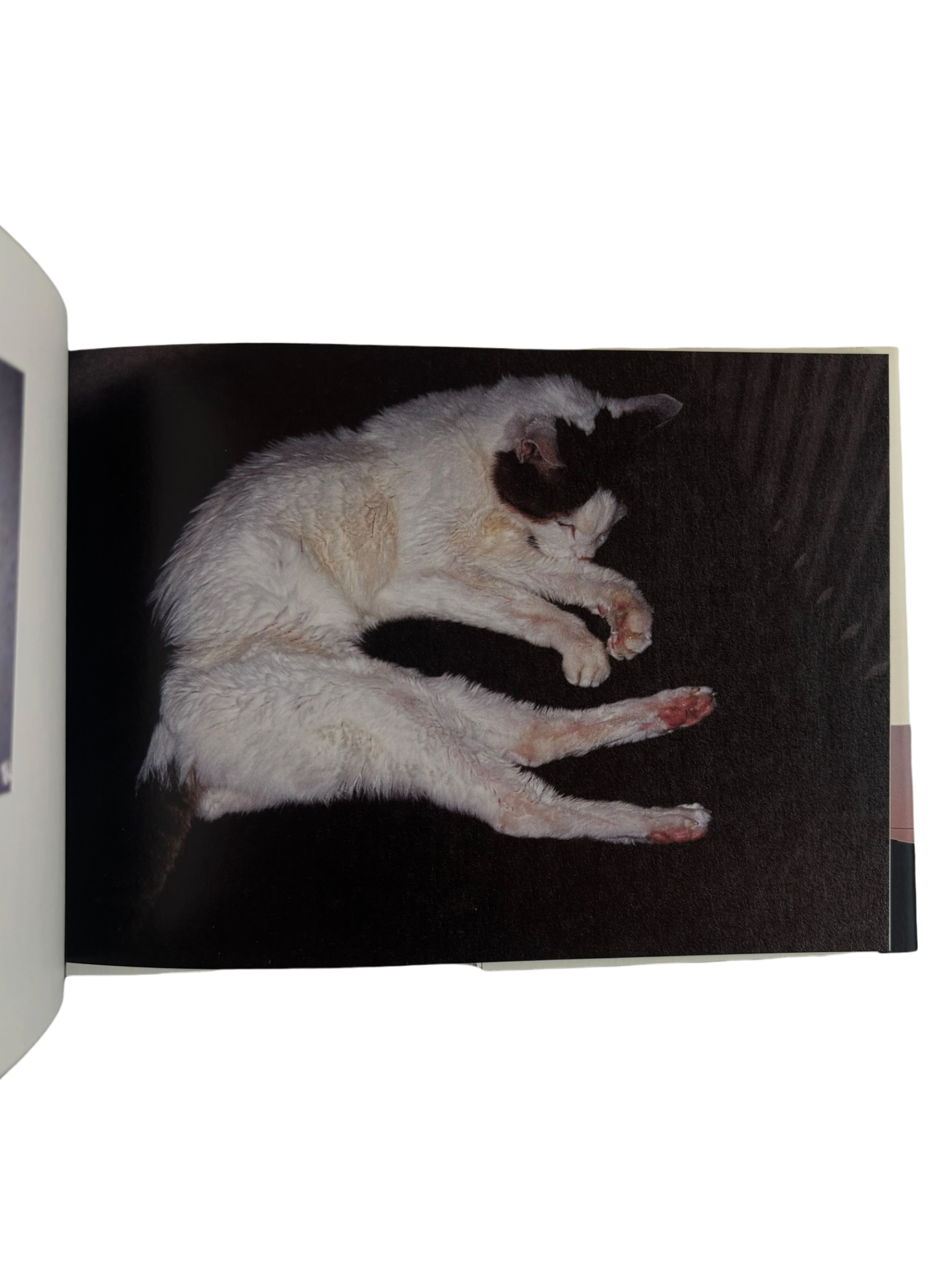Chiro, Love and Death (2010)