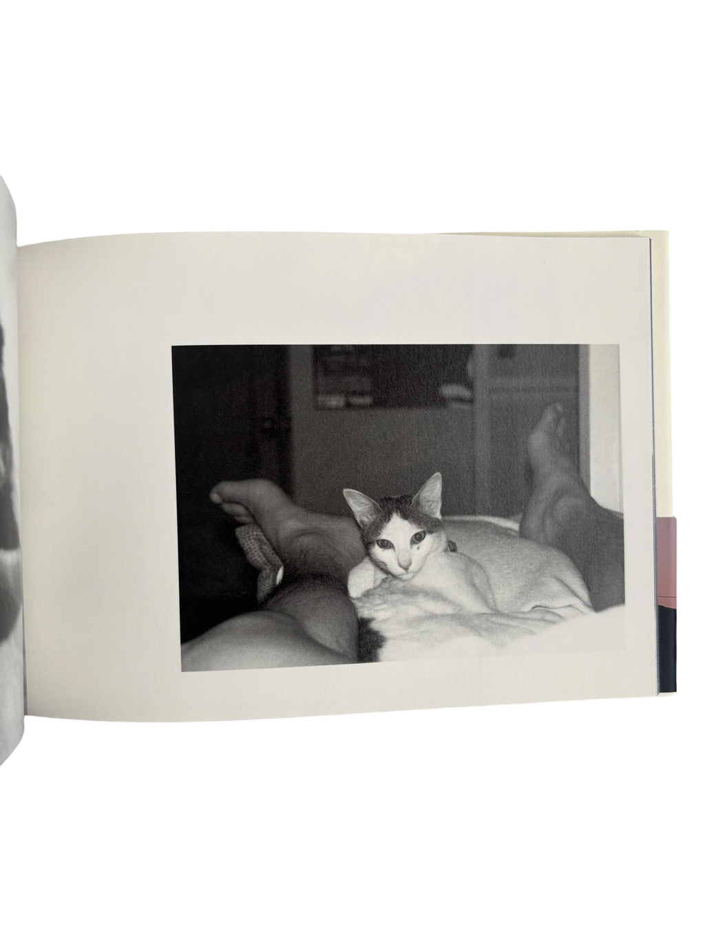 Chiro, Love and Death (2010)