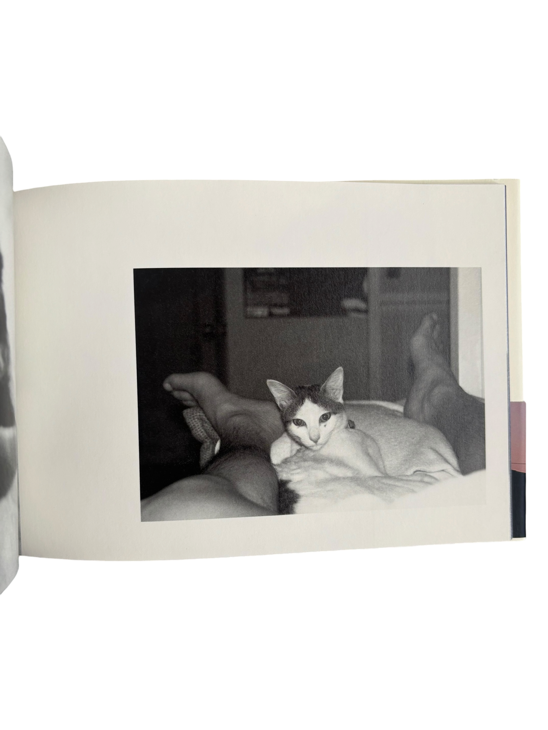 Chiro, Love and Death (2010)